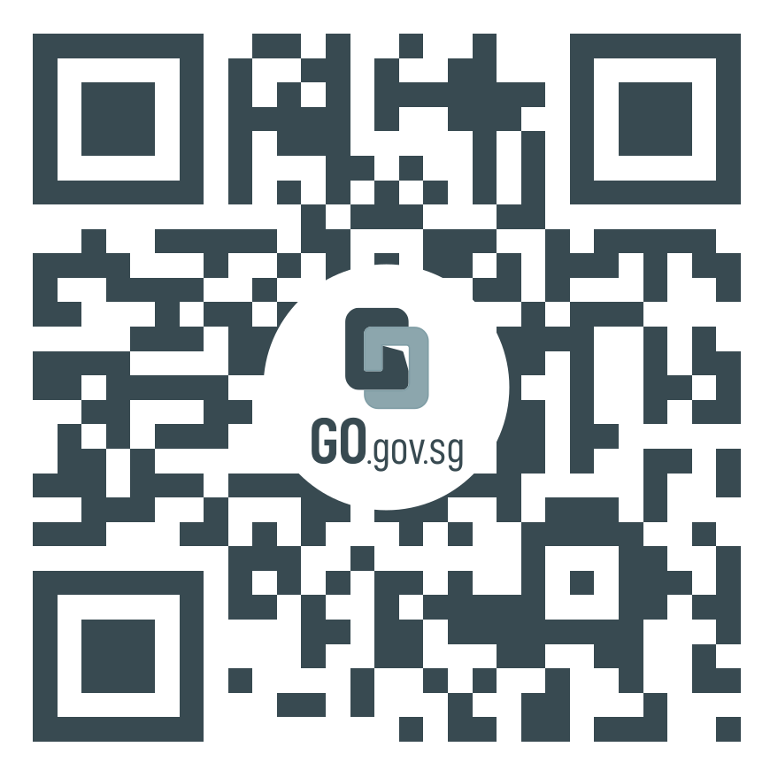 qr-code-storymap-queenstown